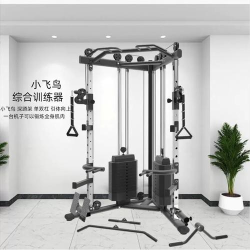 小飞鸟龙门架健身器 源头工厂多功能综合训练器，家庭健身的全能之选